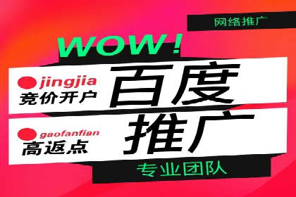 SEM托管公司案例分析：数据驱动决策